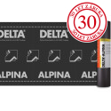 DELTA ALPINA